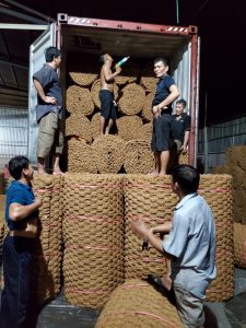 dịch vụ khai báo hải quan xuất nhập khẩu