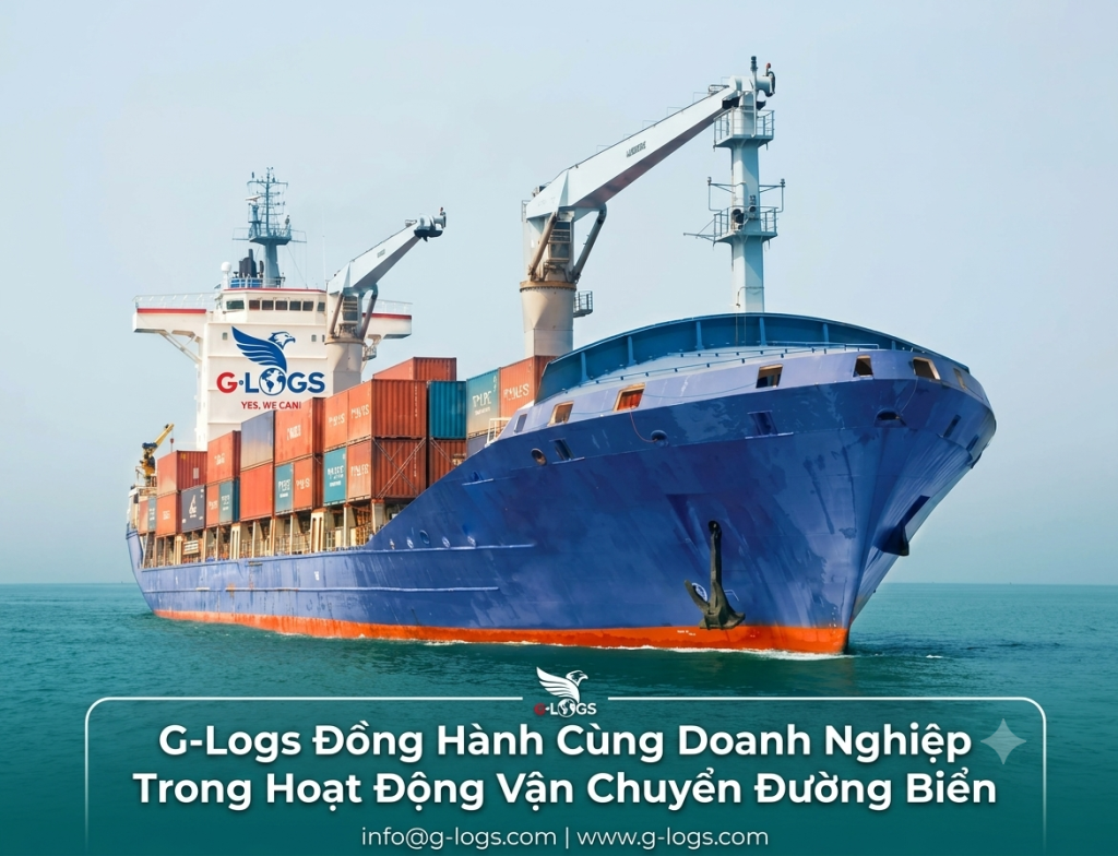 Dịch vụ vận chuyển đường biển quốc tế của G-Logs đồng hành cùng doanh nghiệp